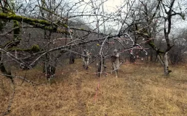 ազր