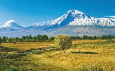 Արարատ